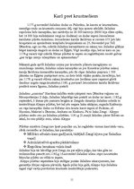 Referāts 'Saladīns un viņa dzīves gājums', 11.