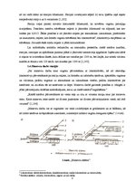 Referāts 'Dzelzceļa sadales punkti', 8.