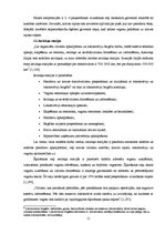 Referāts 'Dzelzceļa sadales punkti', 11.