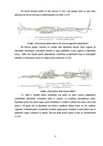 Referāts 'Dzelzceļa sadales punkti', 15.