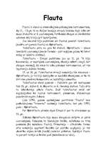 Referāts 'Flauta', 2.