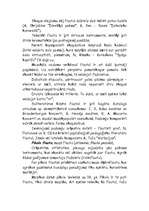 Referāts 'Flauta', 5.