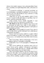 Referāts 'Flauta', 13.