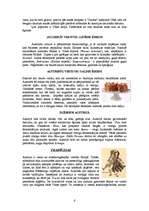 Referāts 'Austrija', 6.