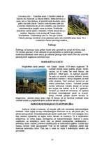 Referāts 'Austrija', 14.