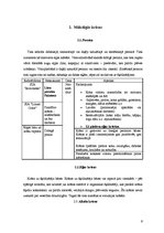 Konspekts 'Krāsu piedāvājums Latvijā', 9.