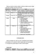 Konspekts 'Krāsu piedāvājums Latvijā', 10.