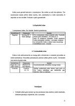 Konspekts 'Krāsu piedāvājums Latvijā', 12.