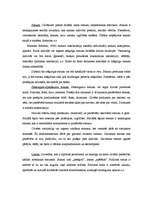 Konspekts 'Sociālā mijiedrabība. Sociālā struktūra, statuss, lomas, grupas un organizācijas', 4.