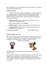 Konspekts 'Ūdensapgāde un kanalizācija', 16.