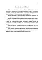 Referāts 'Darba vadīšana uzņēmumā "Šarms"', 11.