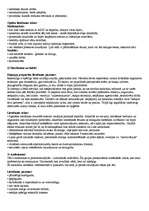 Referāts 'Narkotikas', 2.