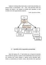 Prakses atskaite 'Prakse lietvedībā', 7.