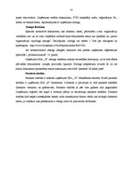 Prakses atskaite 'Prakse lietvedībā', 14.