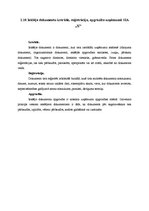 Prakses atskaite 'Prakse lietvedībā', 17.