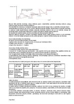 Konspekts 'Teorētiskie jautājumi akadēmisko bakalaura darbu aizstāvēšanā', 5.