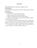 Biznesa plāns 'Pārdošanas veicināšanas pasākumu izpēte SIA "Caramel"', 5.