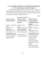 Biznesa plāns 'Pārdošanas veicināšanas pasākumu izpēte SIA "Caramel"', 8.