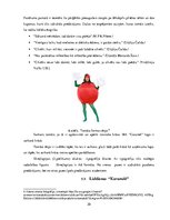 Biznesa plāns 'Pārdošanas veicināšanas pasākumu izpēte SIA "Caramel"', 20.