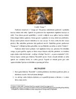 Biznesa plāns 'Pārdošanas veicināšanas pasākumu izpēte SIA "Caramel"', 27.