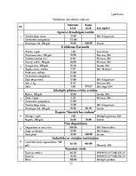 Biznesa plāns 'Pārdošanas veicināšanas pasākumu izpēte SIA "Caramel"', 33.