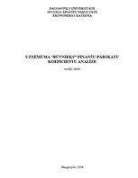 Referāts 'Uzņēmuma "Būvnieks" finanšu pārskatu koeficientu analīze', 1.
