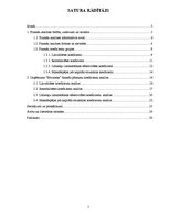 Referāts 'Uzņēmuma "Būvnieks" finanšu pārskatu koeficientu analīze', 2.