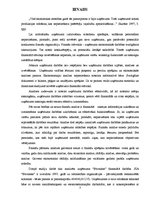 Referāts 'Uzņēmuma "Būvnieks" finanšu pārskatu koeficientu analīze', 3.