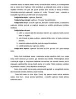 Referāts 'Uzņēmuma "Būvnieks" finanšu pārskatu koeficientu analīze', 4.