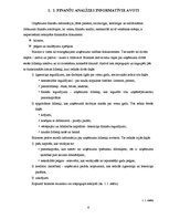 Referāts 'Uzņēmuma "Būvnieks" finanšu pārskatu koeficientu analīze', 6.