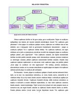 Referāts 'Uzņēmuma "Būvnieks" finanšu pārskatu koeficientu analīze', 7.