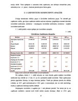 Referāts 'Uzņēmuma "Būvnieks" finanšu pārskatu koeficientu analīze', 16.