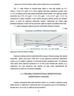 Referāts 'Uzņēmuma "Būvnieks" finanšu pārskatu koeficientu analīze', 19.