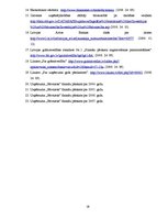 Referāts 'Uzņēmuma "Būvnieks" finanšu pārskatu koeficientu analīze', 28.