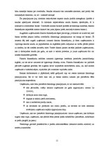 Referāts 'Uzņēmuma kreditēšanas kārtība un iespējas', 15.