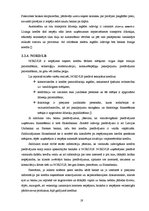 Referāts 'Uzņēmuma kreditēšanas kārtība un iespējas', 19.