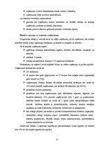 Referāts 'Uzņēmuma kreditēšanas kārtība un iespējas', 35.