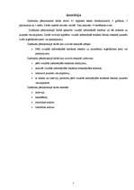 Referāts 'Vizuālās, informējošās reklāmas ietekme uz jauniešiem', 2.