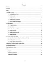 Referāts 'Vizuālās, informējošās reklāmas ietekme uz jauniešiem', 4.