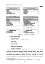 Referāts 'Vizuālās, informējošās reklāmas ietekme uz jauniešiem', 9.