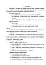 Referāts 'Vizuālās, informējošās reklāmas ietekme uz jauniešiem', 13.