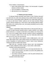 Referāts 'Vizuālās, informējošās reklāmas ietekme uz jauniešiem', 14.