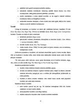 Referāts 'Vizuālās, informējošās reklāmas ietekme uz jauniešiem', 15.