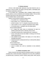 Referāts 'Vizuālās, informējošās reklāmas ietekme uz jauniešiem', 16.