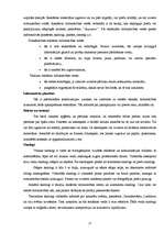 Referāts 'Vizuālās, informējošās reklāmas ietekme uz jauniešiem', 17.