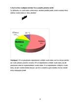 Referāts 'Vizuālās, informējošās reklāmas ietekme uz jauniešiem', 29.