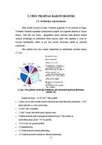 Referāts 'Cēsu pilsētas detālplānojumu izvērtējums', 17.