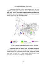 Referāts 'Cēsu pilsētas detālplānojumu izvērtējums', 45.