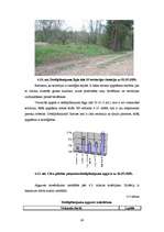 Referāts 'Cēsu pilsētas detālplānojumu izvērtējums', 56.