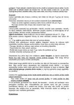 Referāts 'Viduslaiku kultūra Latvijā', 7.